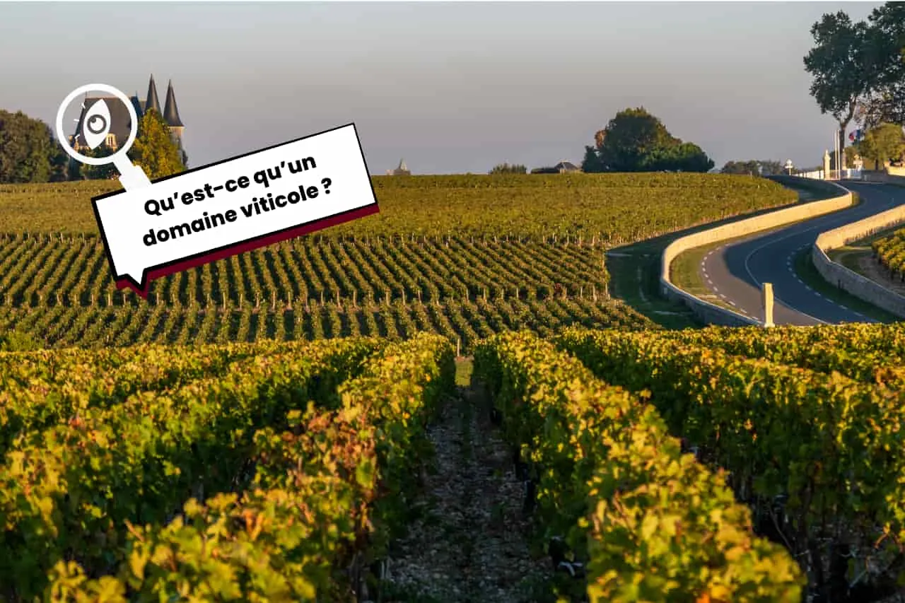 Qu’est-ce qu’un domaine viticole