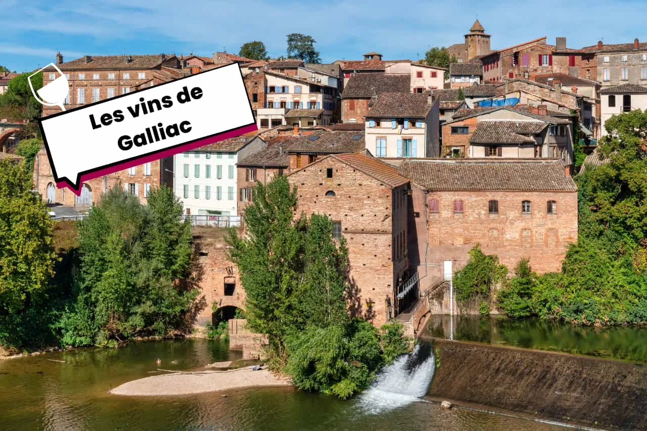 Les vins de Galliac