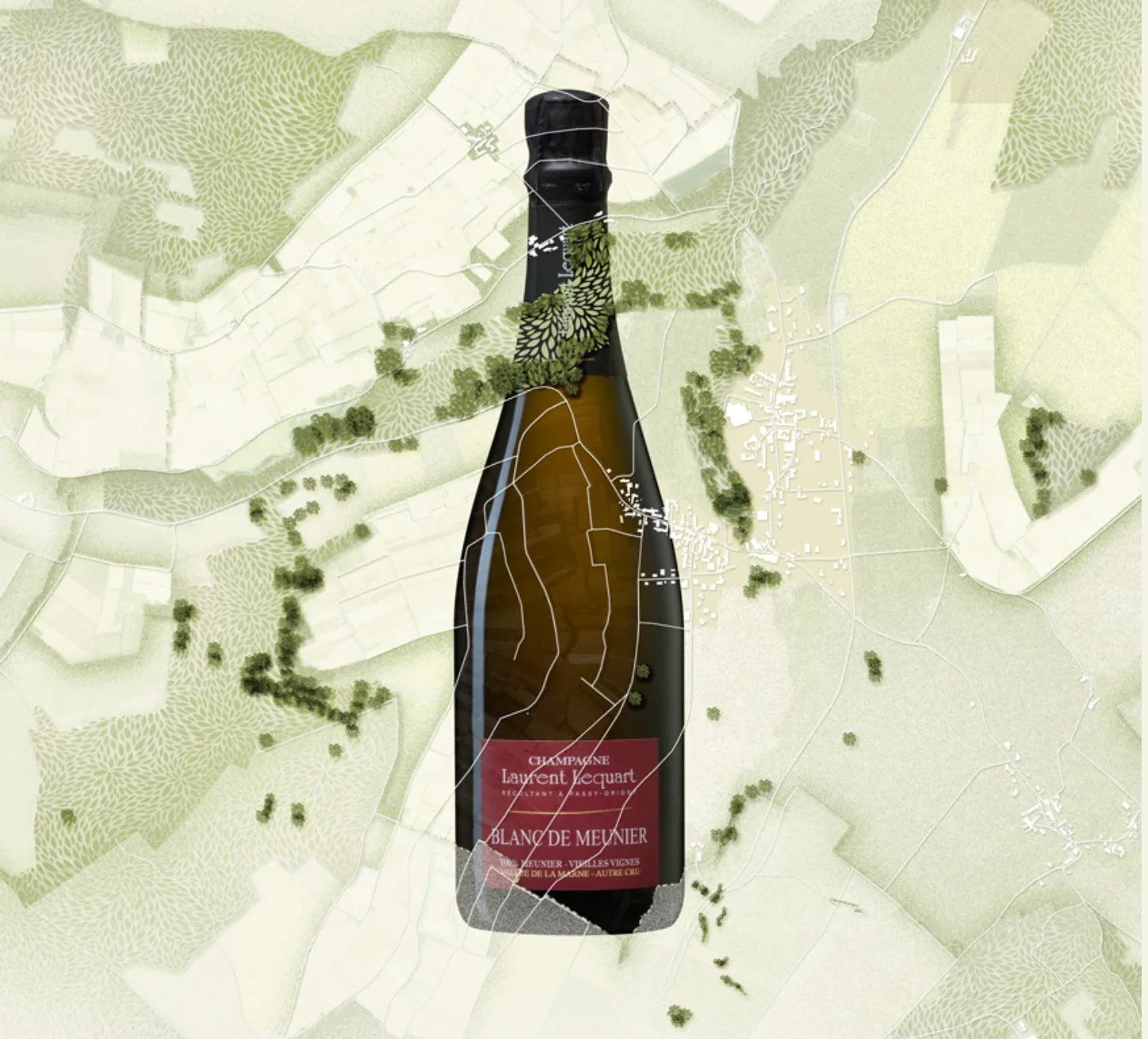 Bouteille de Blanc de Meunier Laurent Lequart sur la carte des parcelles de Passy-Grigny