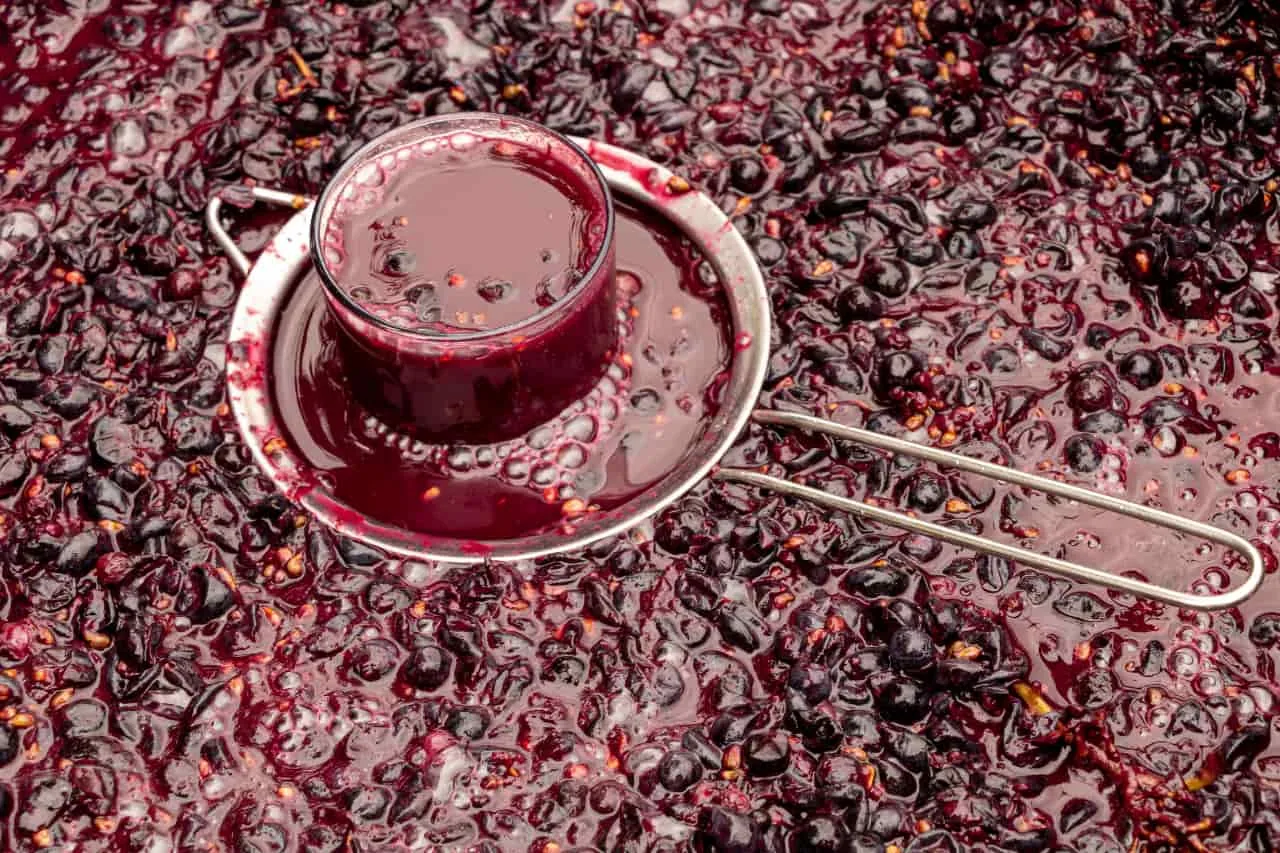 Raisins rouges en fermentation dans une cuve, avec un verre de vin trouble posé sur un tamis