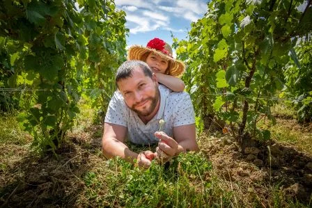 Guillaume Lemaire allongé dans l’herbe entre deux rangs de vigne, Louna sur le dos