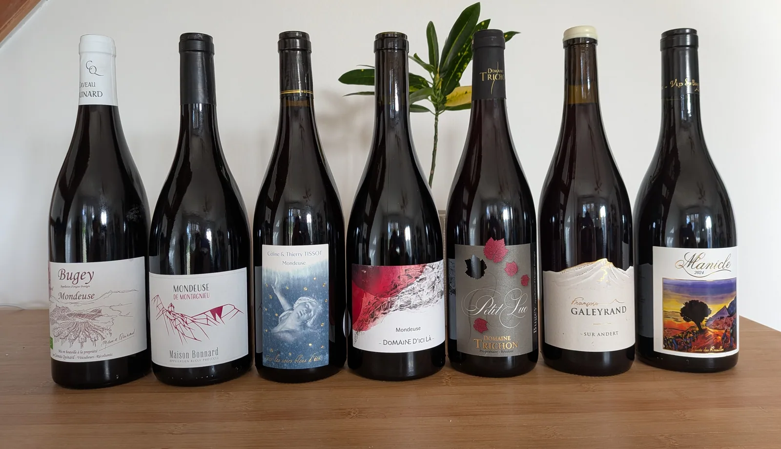 Les sept rouges du Bugey dégustés : quatre mondeuses (Caveau Quinard, Maison Bonnard, Thierry Tissot, Domaine d’ici là), deux gamays (Domaine Trichon Petit Luc, François Galeyrand Sur Andert) et un pinot noir de Manicle (Le Caveau Bugiste)