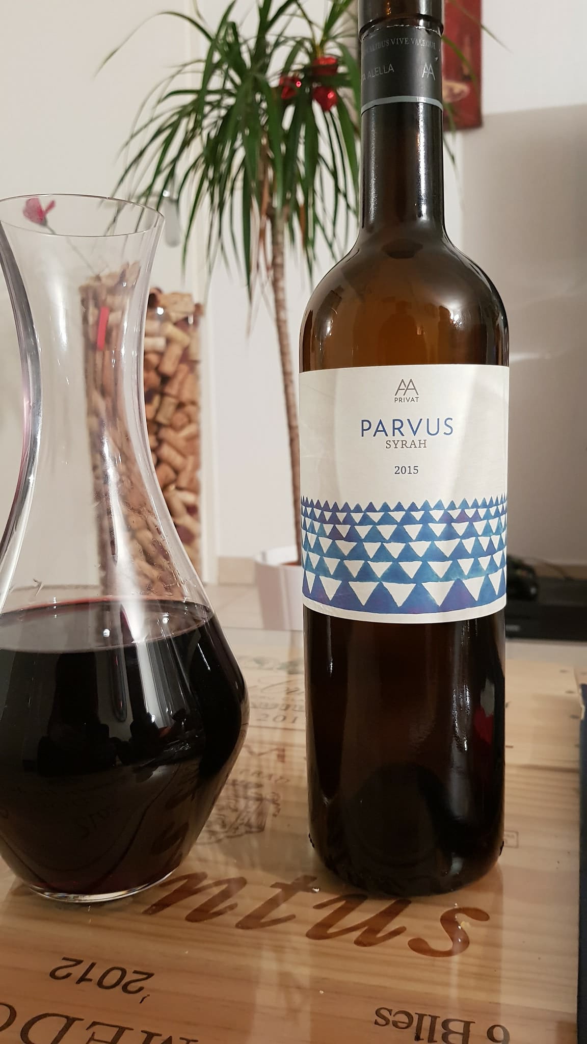 Parvus Syrah 2015 – Espagne