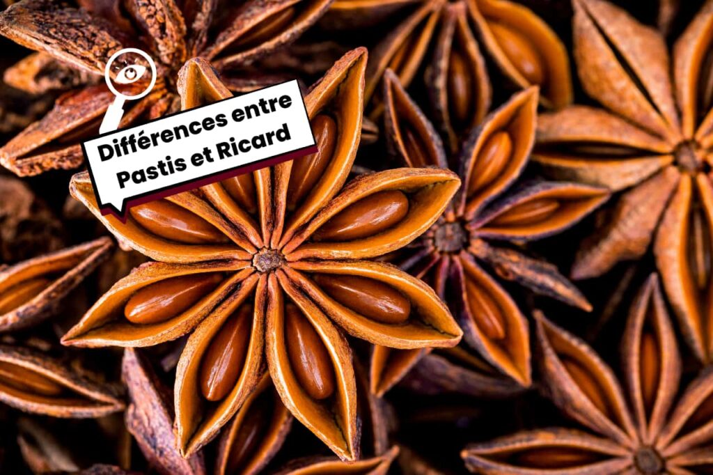 Quelles Différences entre le Pastis et le Ricard ? BurdiVino