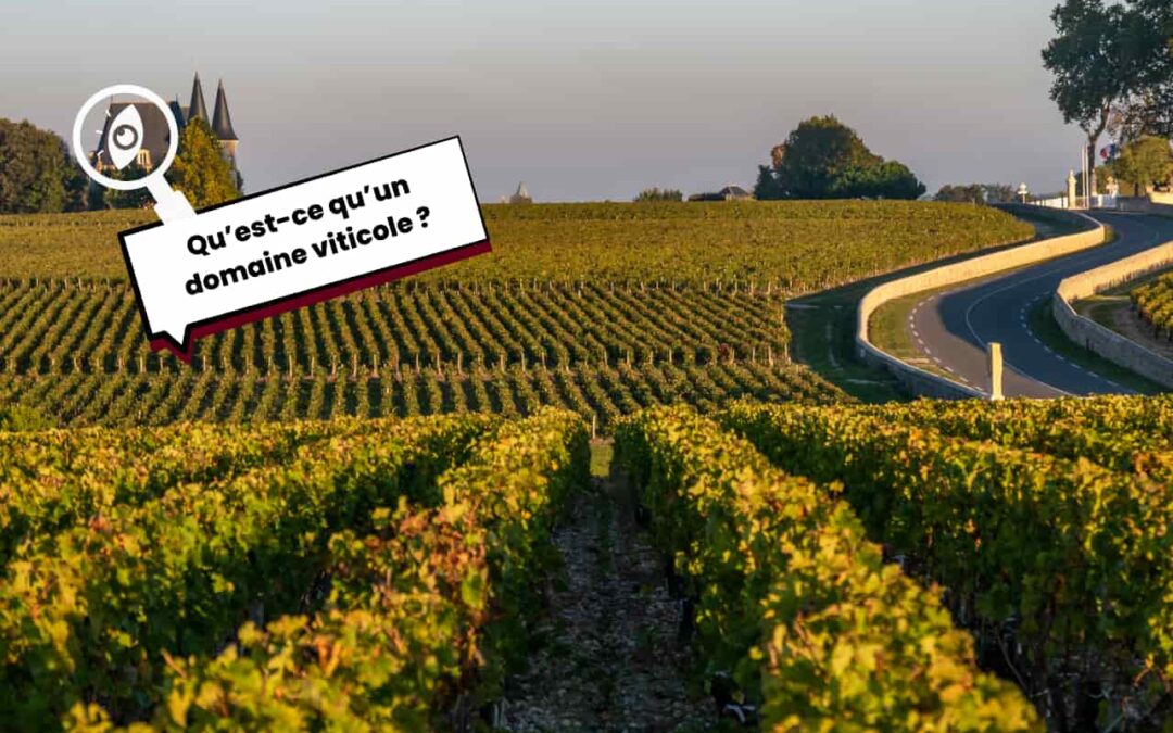 Qu’est-ce qu’un domaine viticole ?