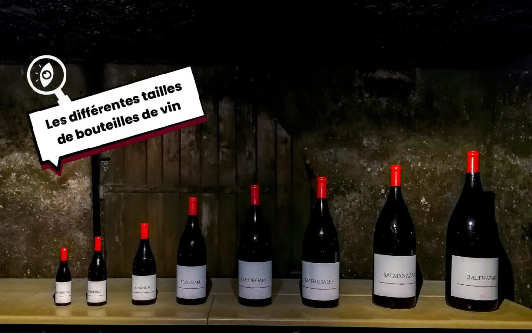 Les différentes tailles de bouteilles de vin