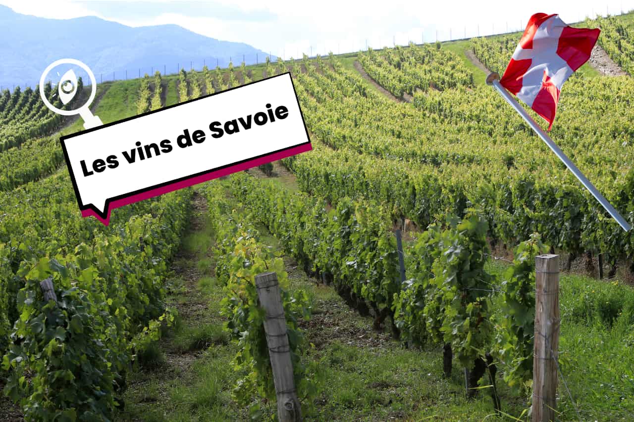découverte des vins de Savoie