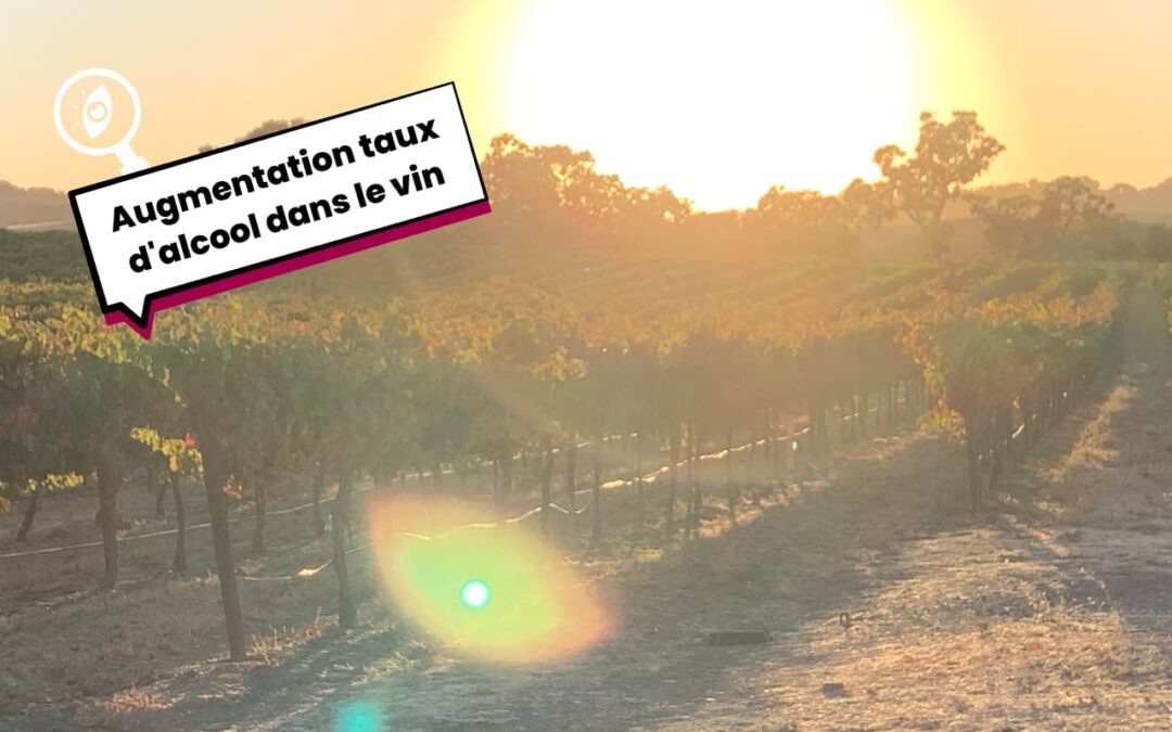 Pourquoi le degrĂ© d’alcool des vins augmente-t-il ?