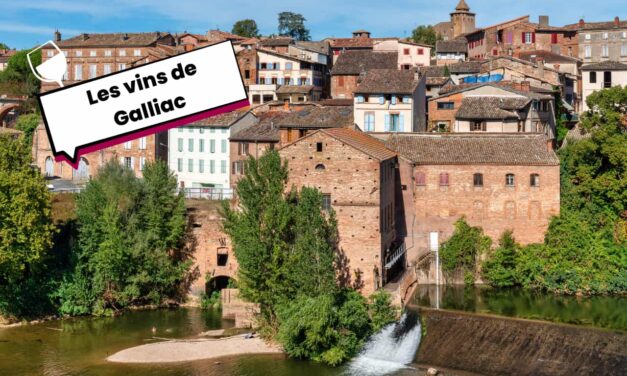 Vins de Gaillac : authenticité, cépages rares et coups de cœur