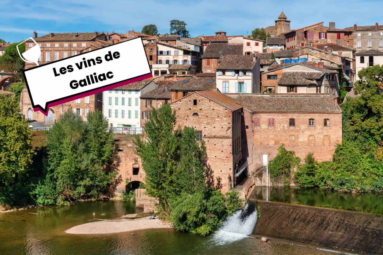 Les vins de Galliac