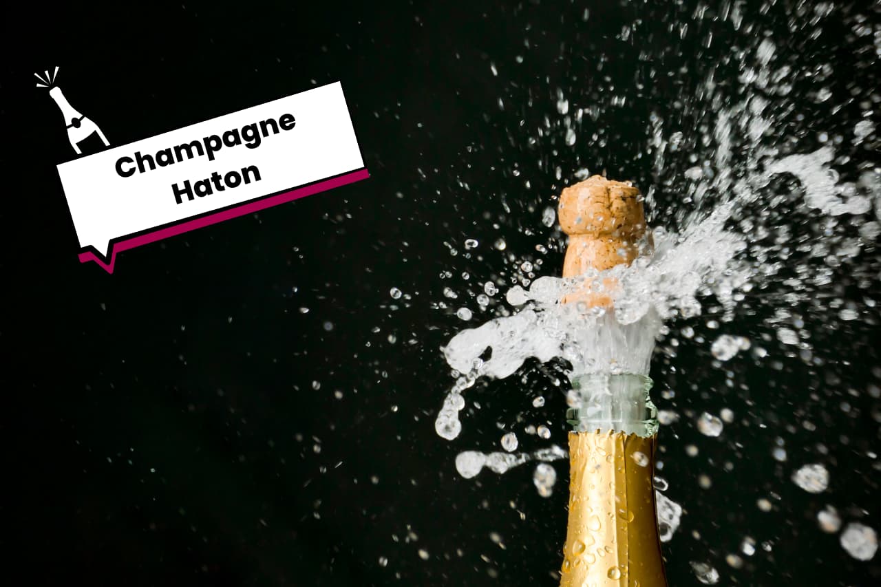 Champagne Haton Notre Avis