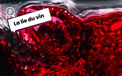 Qu’est-ce que la lie du vin ?