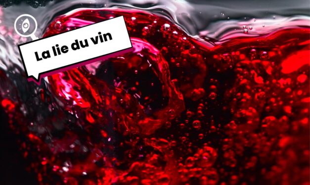 Qu’est-ce que la lie du vin ?