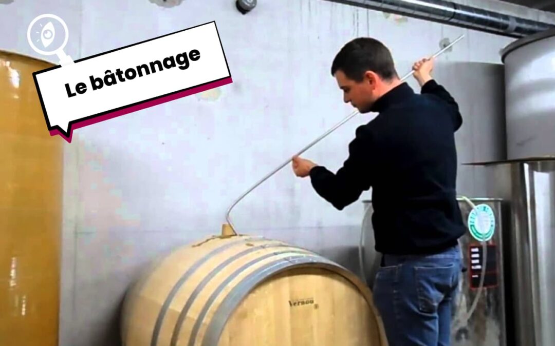 Le Bâtonnage en oenologie