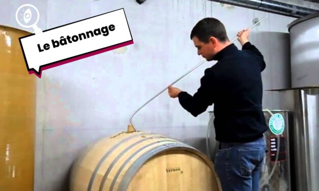 Le Bâtonnage en oenologie