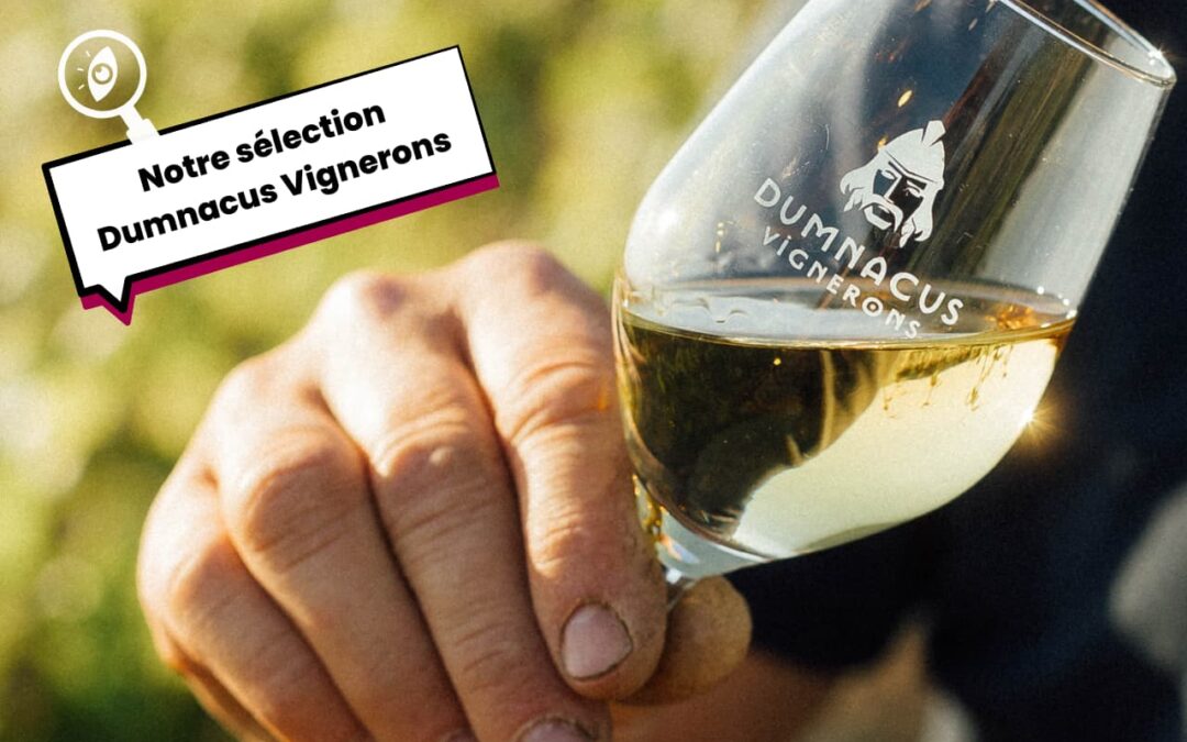 Notre sélection Dumnacus Vignerons pour les fêtes de fin d’année