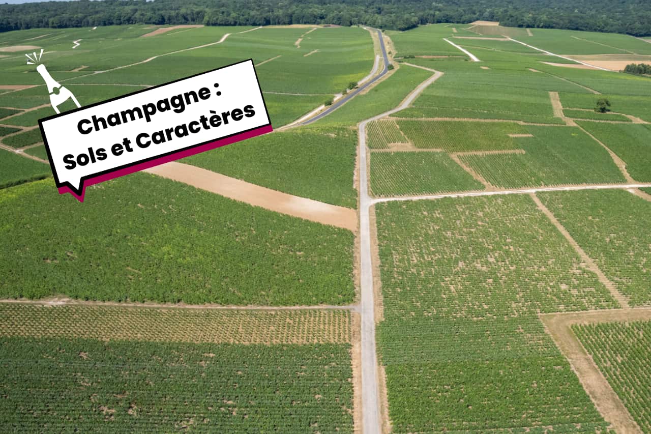 Sols et Caractères Champagnes Sols et Caractères Champagnes