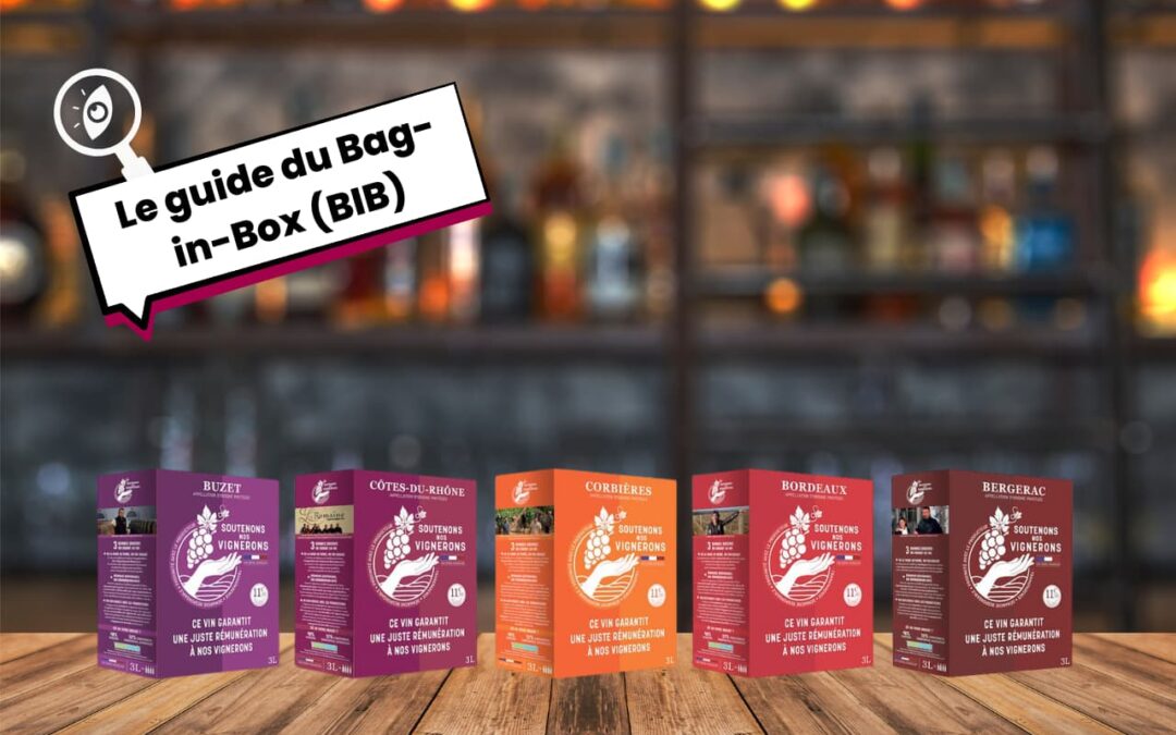 Qu’est-ce qu’un BIB ? Le guide complet du Bag-in-Box