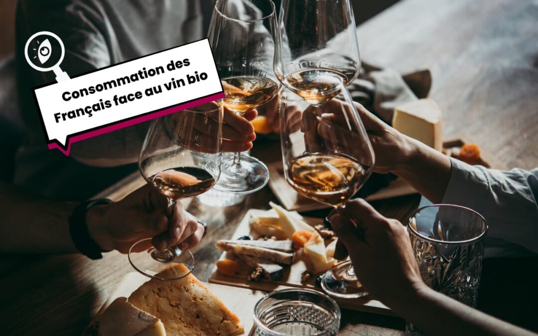 Vin bio : une nouvelle génération arrive et un énorme potentiel reste à conquérir