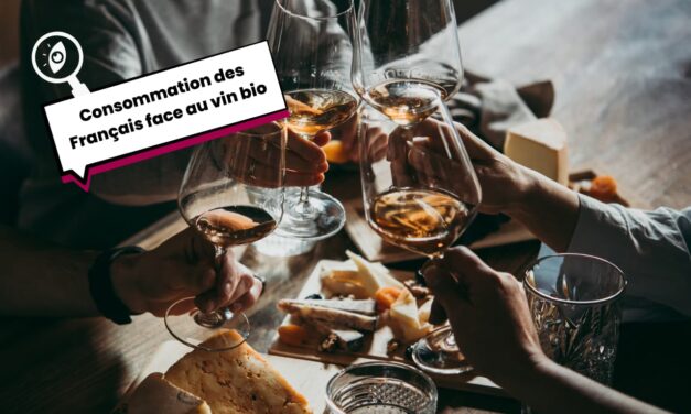 Vin bio : une nouvelle génération arrive et un énorme potentiel reste à conquérir