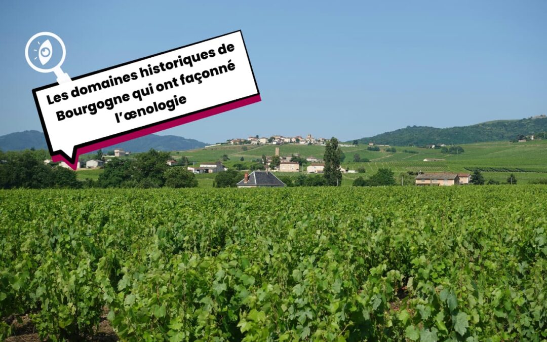 Les domaines historiques de Bourgogne qui ont façonné l’œnologie