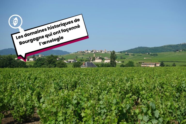 Les domaines historiques de Bourgogne qui ont façonné l’œnologie