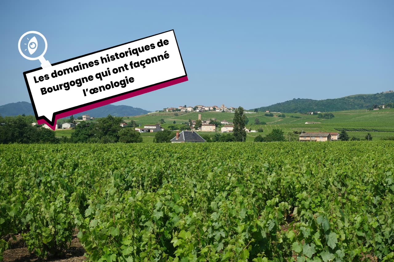 Les domaines historiques de Bourgogne qui ont façonné l’œnologie Les domaines historiques de Bourgogne qui ont façonné l’œnologie